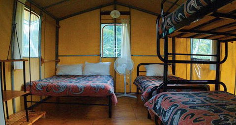 Takarakka Bush Resort - Northern Rivers Accommodation 4