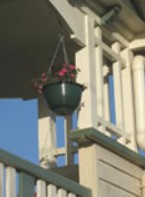 Eco Queenslander Holiday Home And B&B - Northern Rivers Accommodation 2