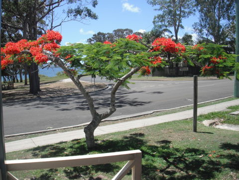 Kingfisher Caravan Park - Northern Rivers Accommodation 4