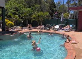 Fraser Roving Backpacker Resort - Northern Rivers Accommodation 2