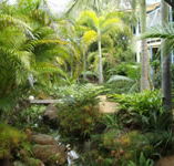 Chamomile Bed and Breakfast - Northern Rivers Accommodation