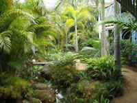 Chamomile Bed And Breakfast - Northern Rivers Accommodation 0