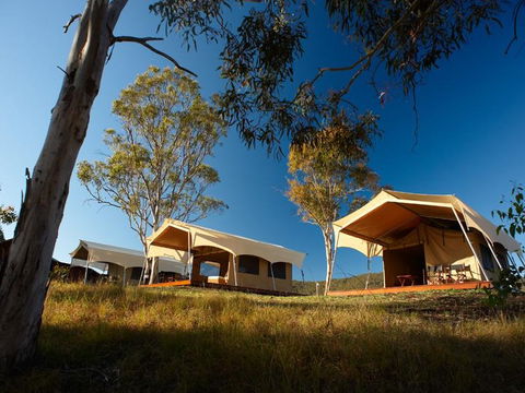 Spicers Canopy - Northern Rivers Accommodation 3