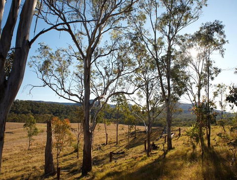 Spicers Canopy - Northern Rivers Accommodation 4