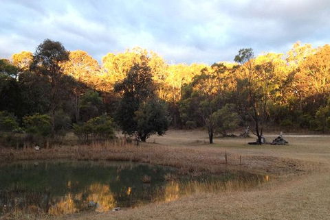 Possums Hollow And Hooters Hut - Northern Rivers Accommodation 1