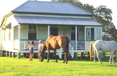 Cedar Glen Farmstay - Northern Rivers Accommodation 5
