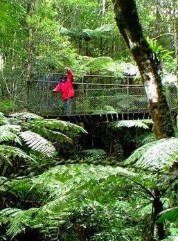 Katandra Mountain Farm House - Northern Rivers Accommodation 2