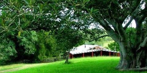 Katandra Mountain Farm House - Northern Rivers Accommodation 5