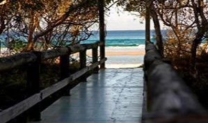 Anchorage Beachfront Island Resort - Northern Rivers Accommodation 4