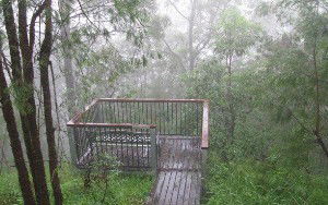 Eagles Rest Retreat - Northern Rivers Accommodation 4