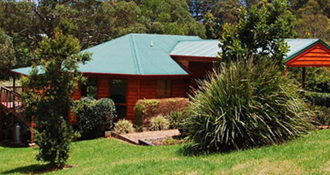 Ravensbourne Escape Tree Tops - Northern Rivers Accommodation 5