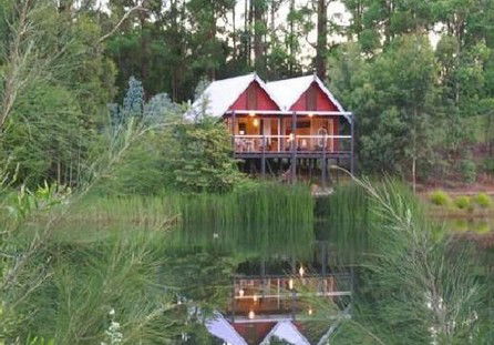 Cloudlake Mountain Retreat - Northern Rivers Accommodation 5