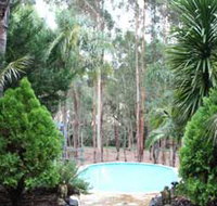 Fern Gulley Retreat - Northern Rivers Accommodation