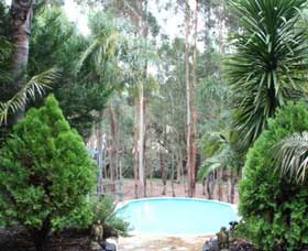 Fern Gulley Retreat - Northern Rivers Accommodation 0