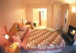 Fern Gulley Retreat - Northern Rivers Accommodation 1