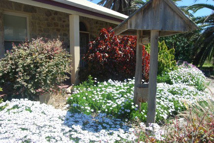 Weelaway On Gregory - Northern Rivers Accommodation 1