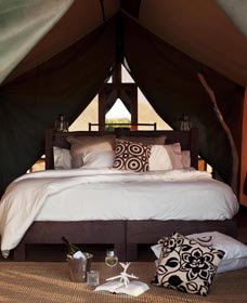 Sal Salis Ningaloo Reef - Northern Rivers Accommodation 0