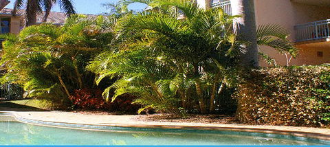 Golden Sea Apartments - Northern Rivers Accommodation 4