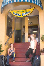 Backpacker Banana Bender - Northern Rivers Accommodation 1