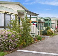 Chelsea Holiday Park - Northern Rivers Accommodation