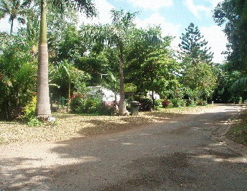 Cape Hillsborough Nature Resort - Northern Rivers Accommodation 4
