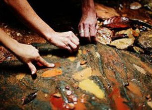 Daintree Eco Lodge And Spa - Northern Rivers Accommodation 0
