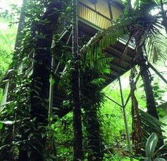 Daintree Eco Lodge And Spa - Northern Rivers Accommodation 1