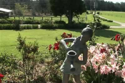 Jacaranda Country Lodge - Northern Rivers Accommodation 2