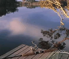 Jacaranda Country Lodge - Northern Rivers Accommodation 4
