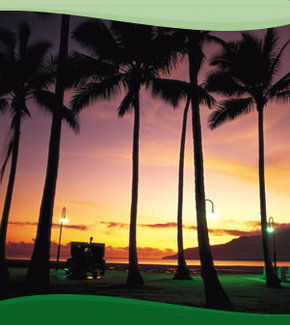 Bay Village Tropical Retreat, Cairns - Northern Rivers Accommodation 1