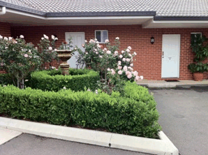 Akuna Motor Inn - Northern Rivers Accommodation 4