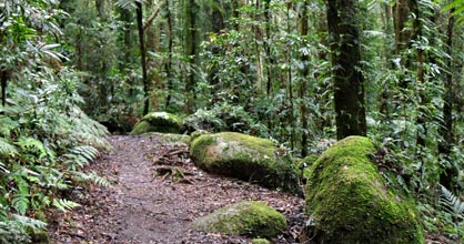 Hillside Bed & Breakfast - Northern Rivers Accommodation 2