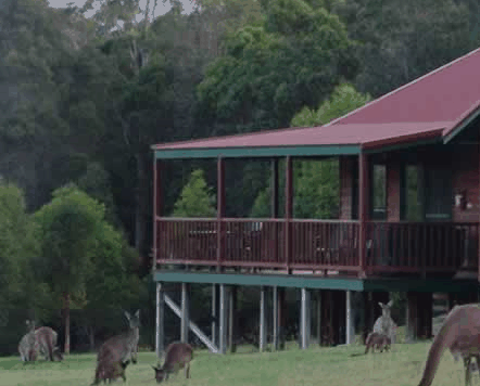 Walpole Wilderness Resort - Northern Rivers Accommodation