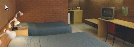 Pine Tree Motel - Northern Rivers Accommodation 0