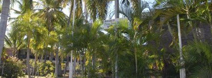 Pine Tree Motel - Northern Rivers Accommodation 2