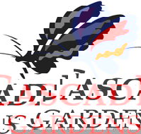 Q Resorts Cascade Gardens  - Northern Rivers Accommodation