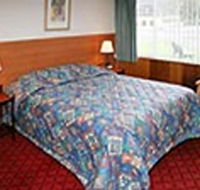 Mt Lyell Motor Inn - Northern Rivers Accommodation