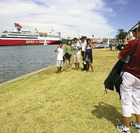 Elimatta Motor Inn - Northern Rivers Accommodation