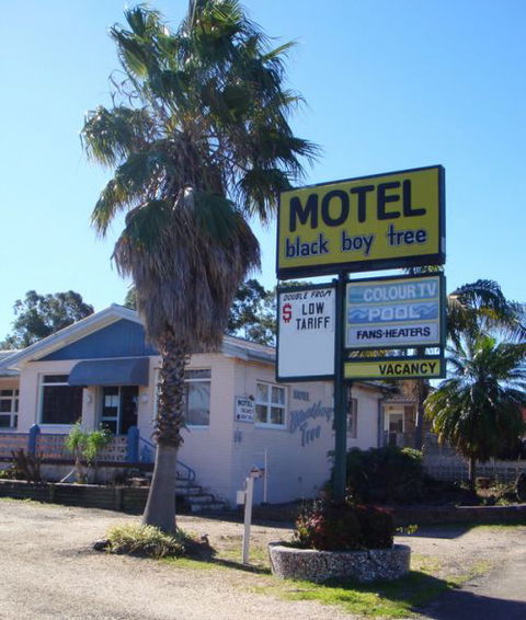 Blackboy Tree Motel - Northern Rivers Accommodation 0
