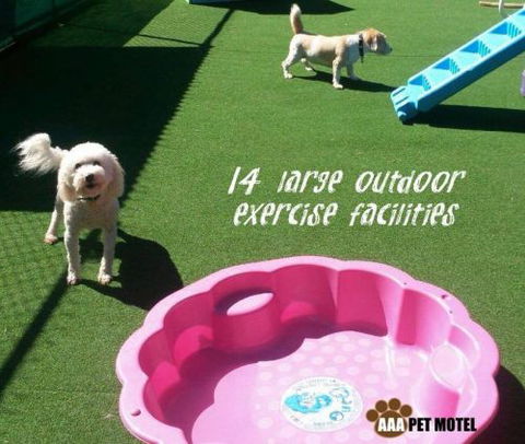 AAA Pet Motel - Northern Rivers Accommodation 2