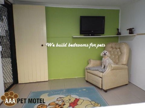 AAA Pet Motel - Northern Rivers Accommodation 3