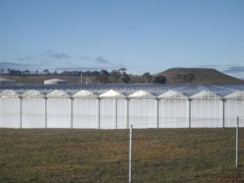 Guyra Motor INN - Northern Rivers Accommodation 7