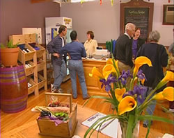 Settlers Ridge Organic Wines - Northern Rivers Accommodation 0