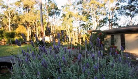 Wild Edge Retreat - Northern Rivers Accommodation 2