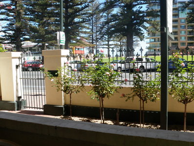 Grandview House Apartments - Northern Rivers Accommodation 5