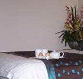 Best Western Ambassador Motor Inn - Northern Rivers Accommodation