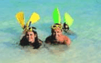 Adventure Island Whitsundays (south Molle Island) - Northern Rivers Accommodation 5
