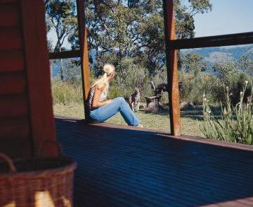 Eaglereach Wilderness Resort - Northern Rivers Accommodation 2