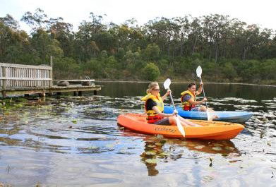 Eaglereach Wilderness Resort - Northern Rivers Accommodation 3