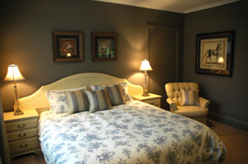 Treetops Bed And Breakfast - Northern Rivers Accommodation 3